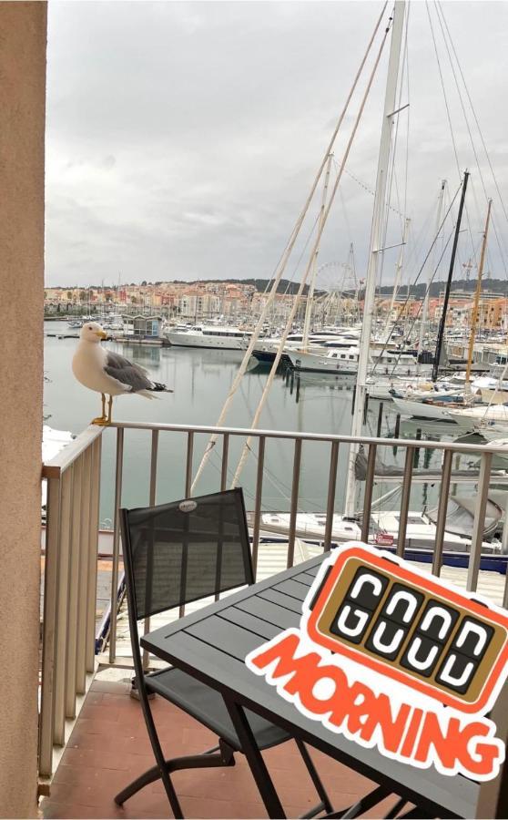 Studio La Grande Roue Vue Magnifique 阿格德 外观 照片