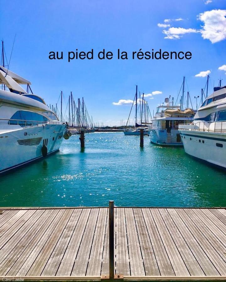 Studio La Grande Roue Vue Magnifique 阿格德 外观 照片