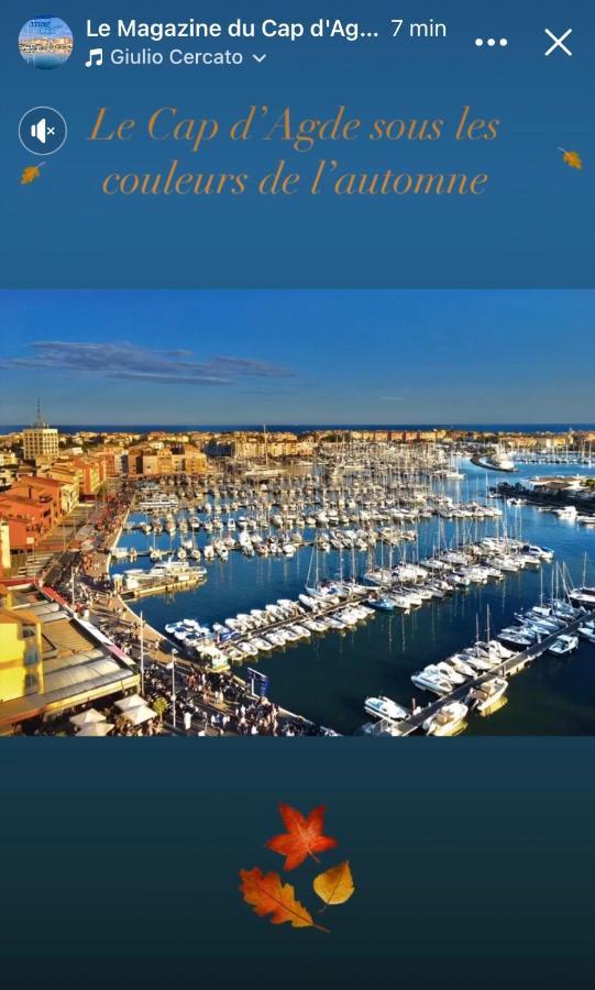 Studio La Grande Roue Vue Magnifique 阿格德 外观 照片